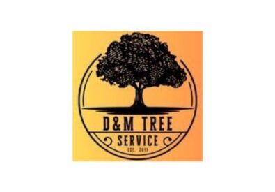 D&M Tree Service